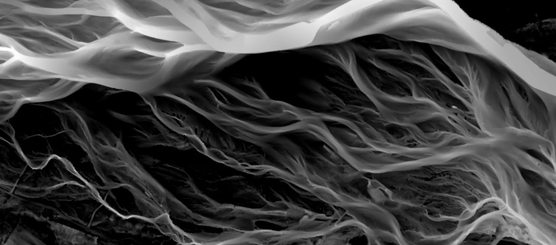 Black and white abstract image featuring intricate, flowing patterns that resemble intertwined fibers or fabric, set against a dark background on Eliot Sinclair's Flood Assessment Certificate blog's hero image